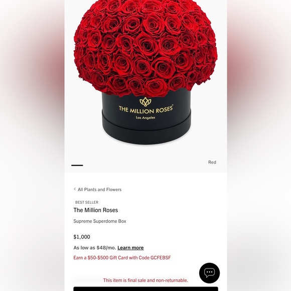 SUPREME BORDEAUX SUEDE SUPERDOME BOX | BURGUNDY ROSES - Picture 5 of 5